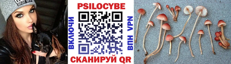 Галлюциногенные грибы MAGIC MUSHROOMS  где можно купить   Нязепетровск 